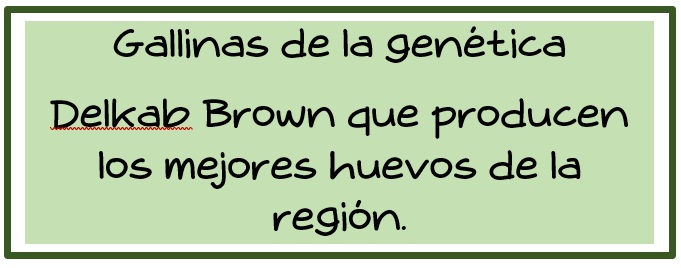 Gallinas Delkab Brown